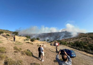 Kırkağaç Bostancı Mahallesi’nde Büyük Orman Yangını
